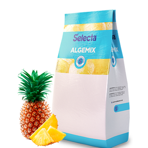 Pó para Sorvete Selecta Algemix 1kg Abacaxi | Shopping das Padarias
